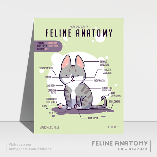 Feline Anatomy Print