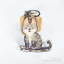 Load image into Gallery viewer, Nyups 2 inch Acrylic Charms
